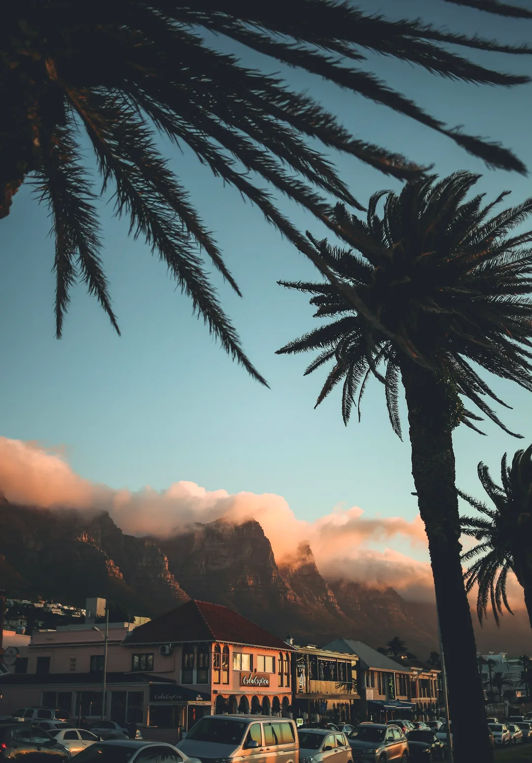 Palm trees framing Table Mountain under its cloud tablecloth at dusk, Cape Town
