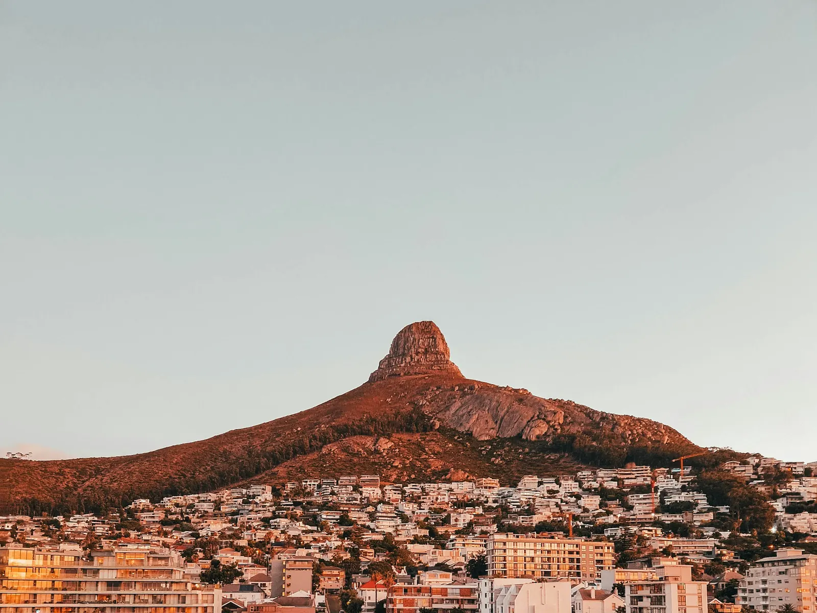 Lion's Head peak rising above the Cape Town cityscape at dusk